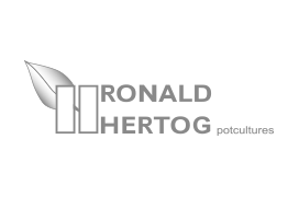 Ronald Hertog